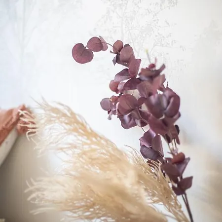 Cabane D'arlette, Grande Terrasse En Centre-ville Отель *