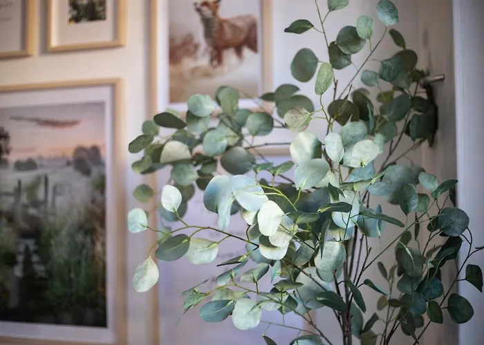 Cabane D'arlette, Grande Terrasse En Centre-ville * Falaise (Calvados)