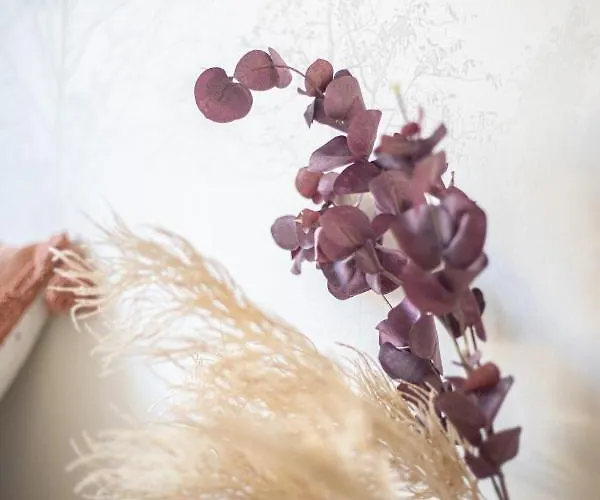 Cabane D'arlette, Grande Terrasse En Centre-ville Hotel *