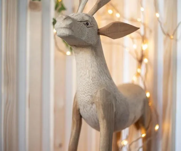Cabane D'arlette, Grande Terrasse En Centre-ville Hotel Falaise (Calvados)